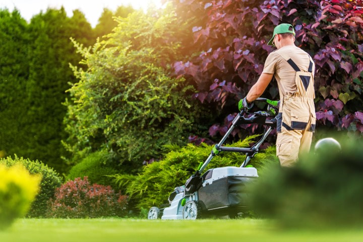 An image of Lawn Care in Princeton, NJ